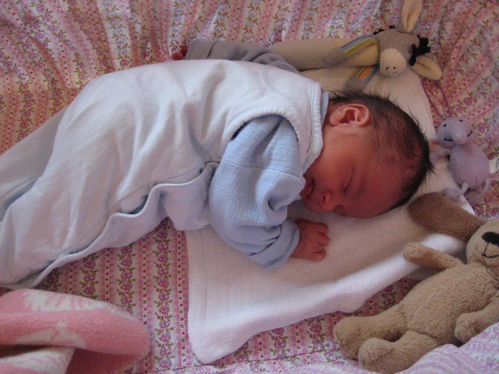 Zat�m nejrad�ji sp�m...