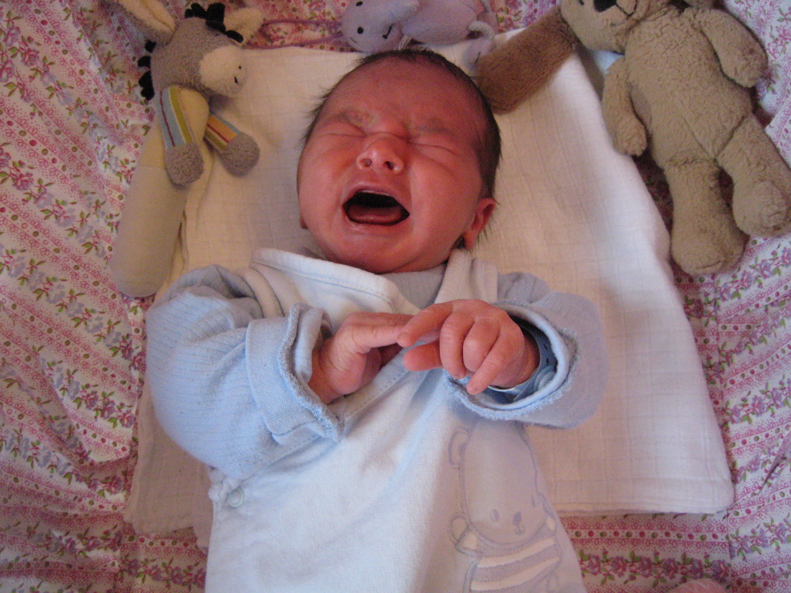 ..ale um�m tak� k�i�et