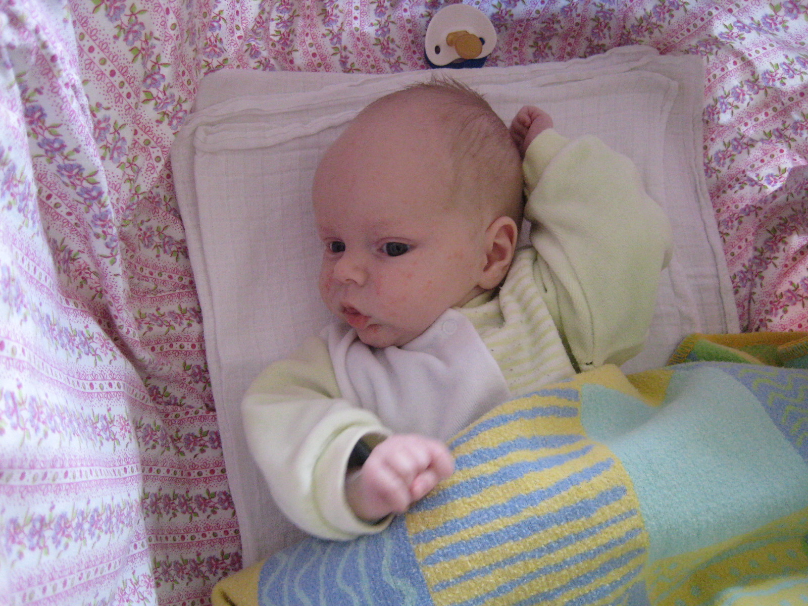 V kosiku je trosku nuda