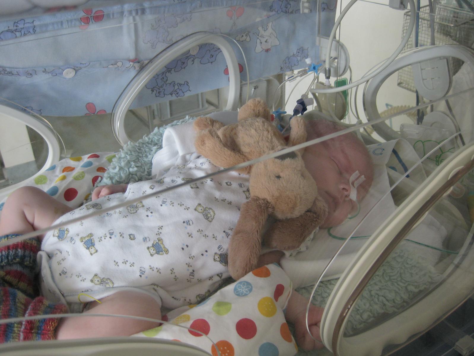 Vitek po operaci v inkubatoru