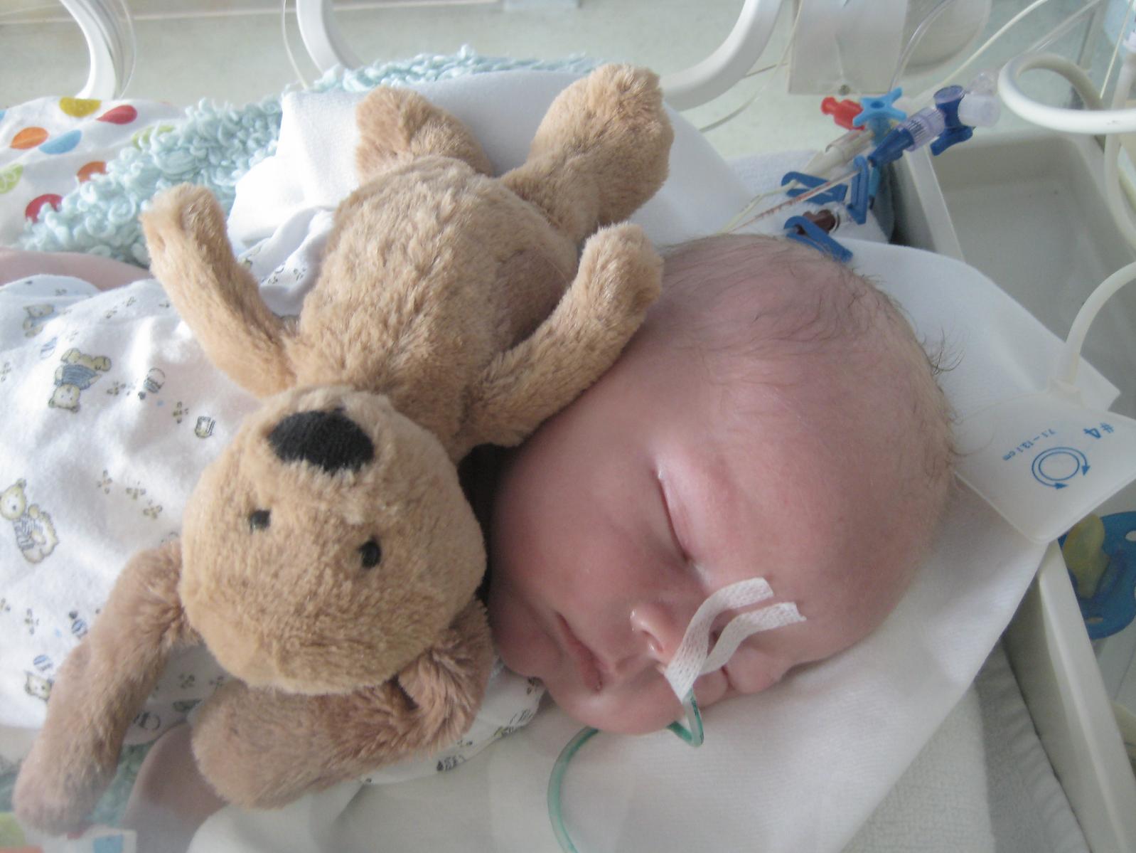 Vitek po operaci v inkubatoru