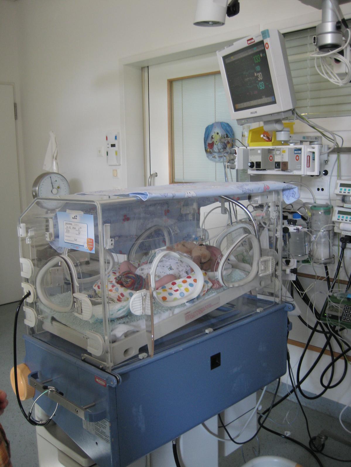 Vitek po operaci v inkubatoru