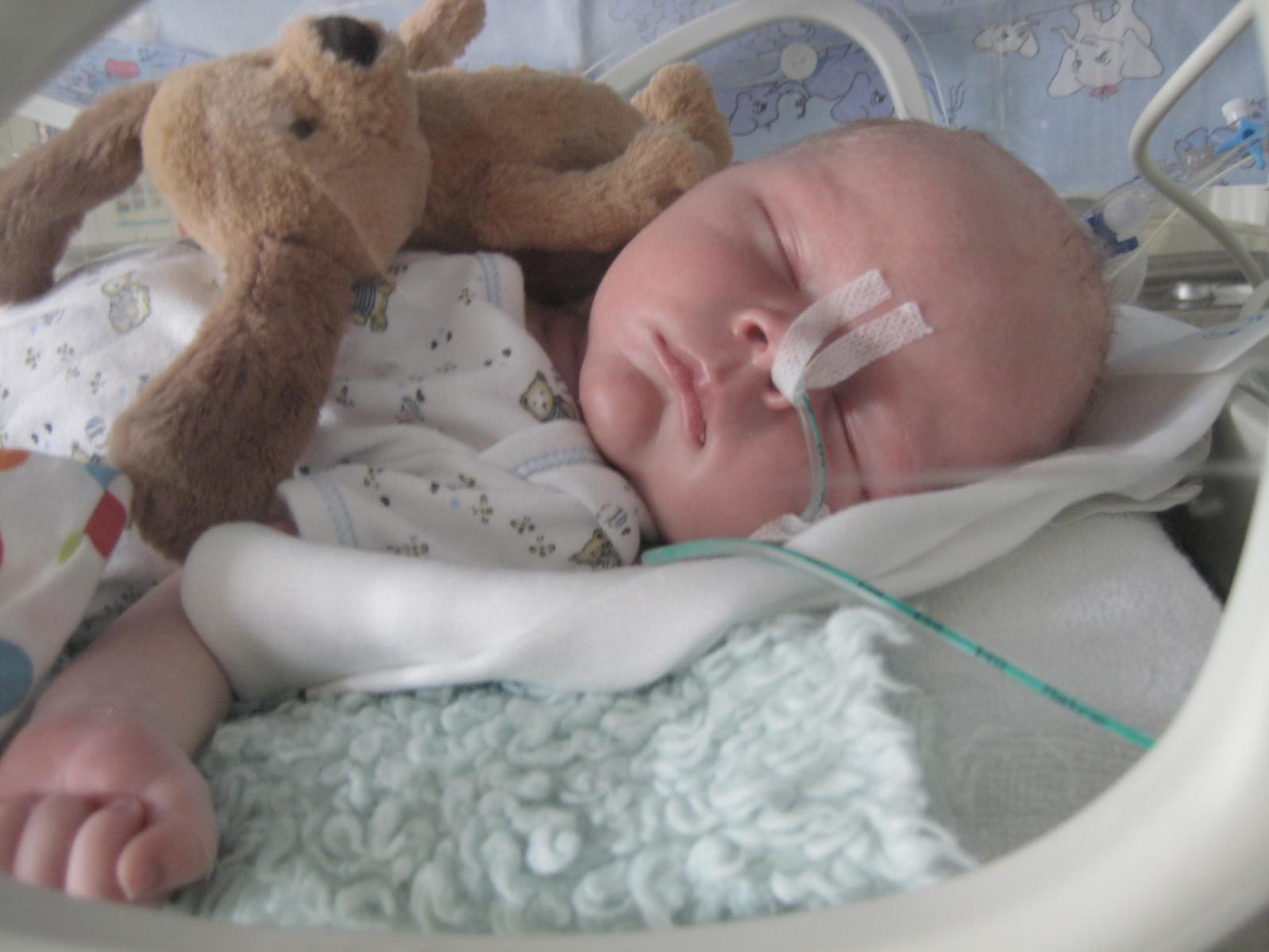 Vitek po operaci v inkubatoru